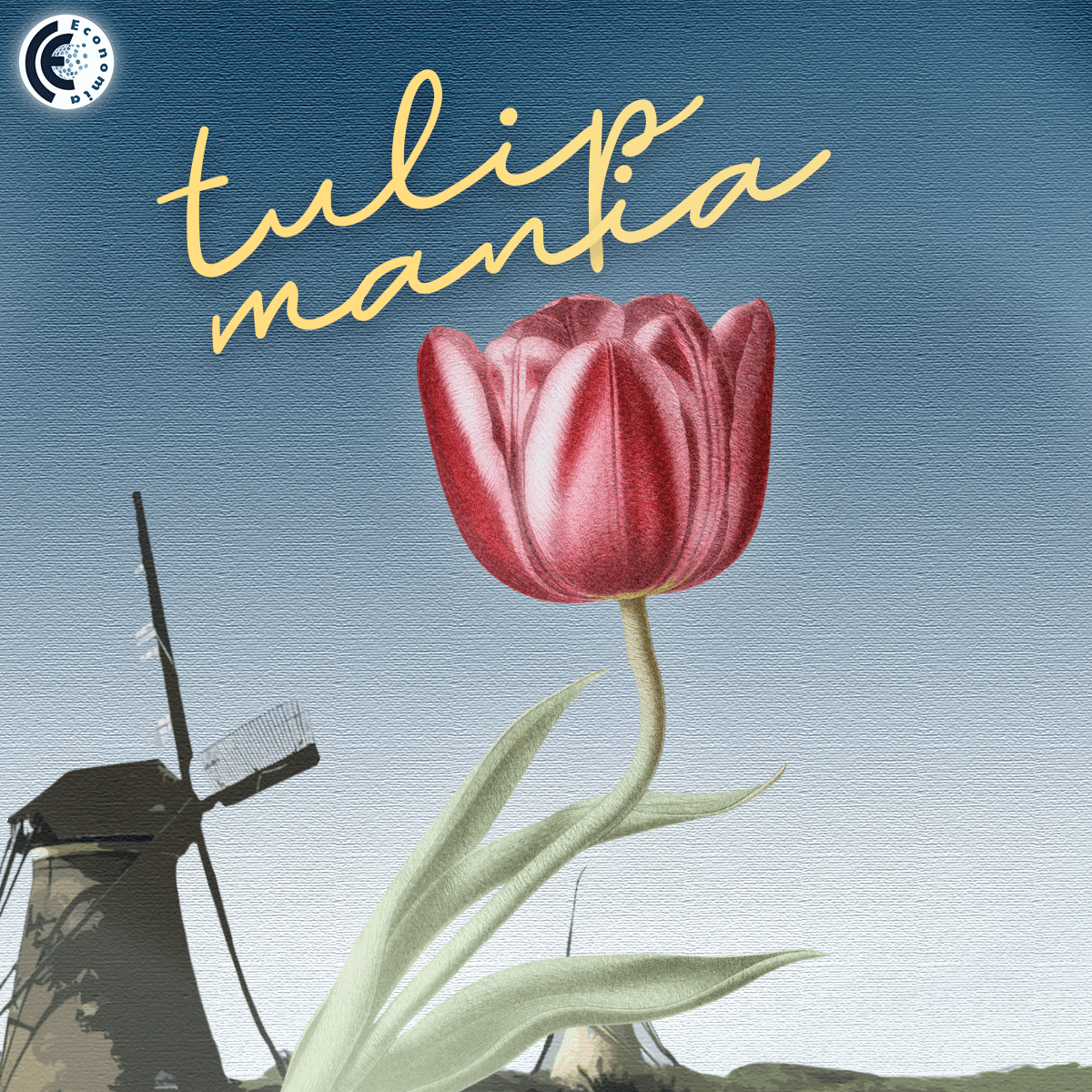 Tulip Mania - Hội chứng hoa tulip